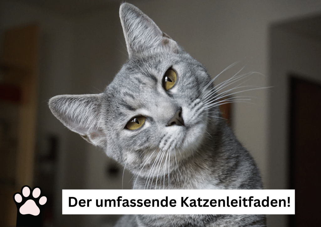 Katzen-Tatze Der umfassende Katzenleitfaden mit vielen Fotos 2024